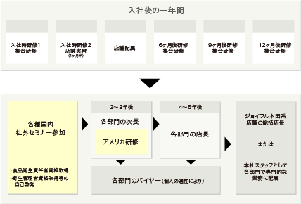 キャリアステッププラン